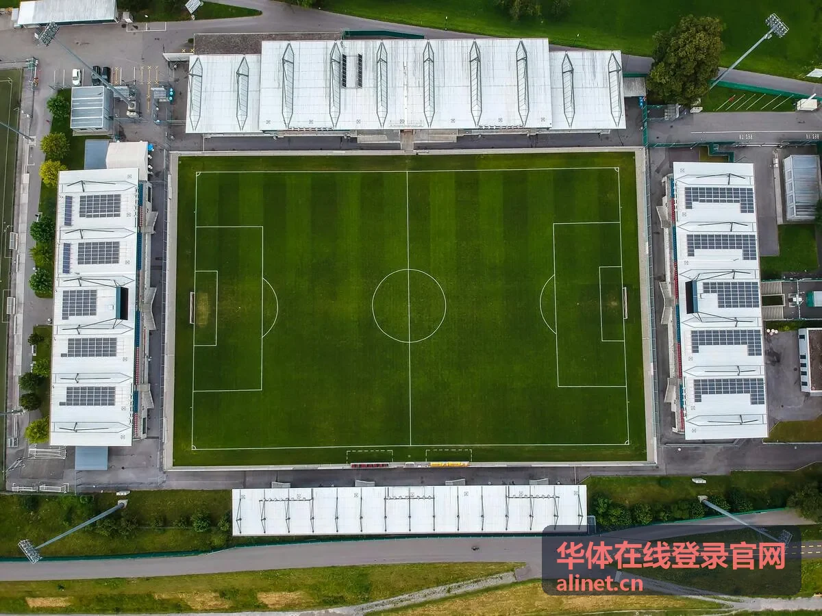 华体在线登录官网经典对决回看片库画面