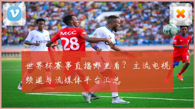 世界杯赛事直播哪里看？主流电视频道与流媒体平台汇总