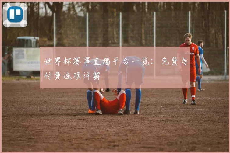 世界杯赛事直播平台一览：免费与付费选项详解