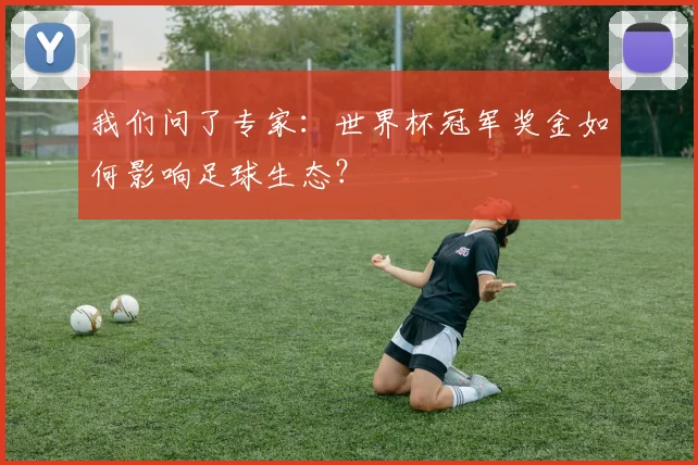 我们问了专家：世界杯冠军奖金如何影响足球生态？