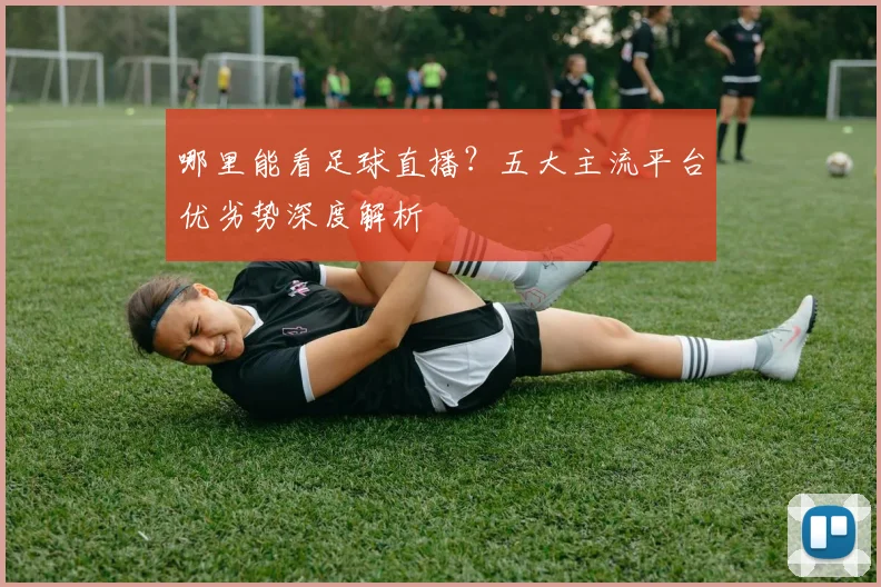 哪里能看足球直播？五大主流平台优劣势深度解析