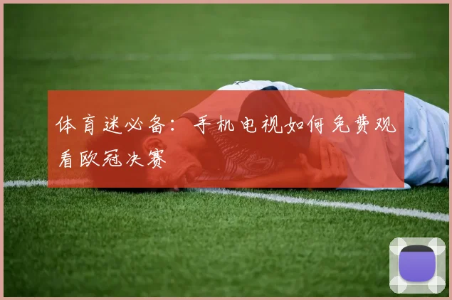 体育迷必备：手机电视如何免费观看欧冠决赛