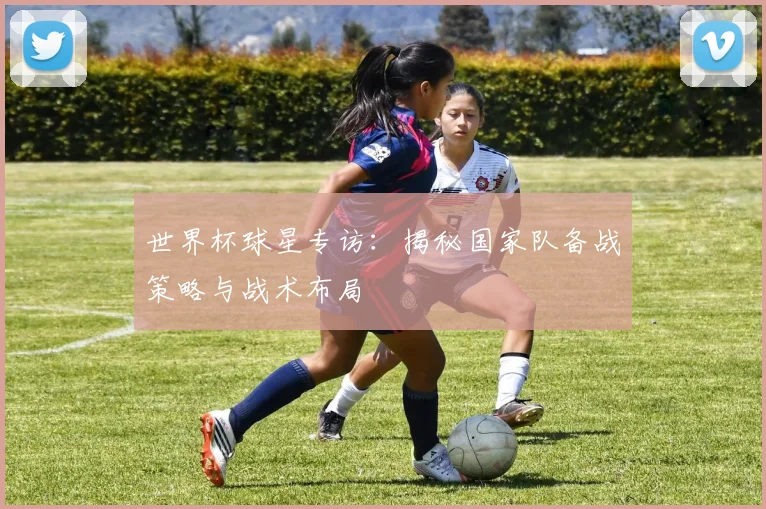 世界杯球星专访：揭秘国家队备战策略与战术布局