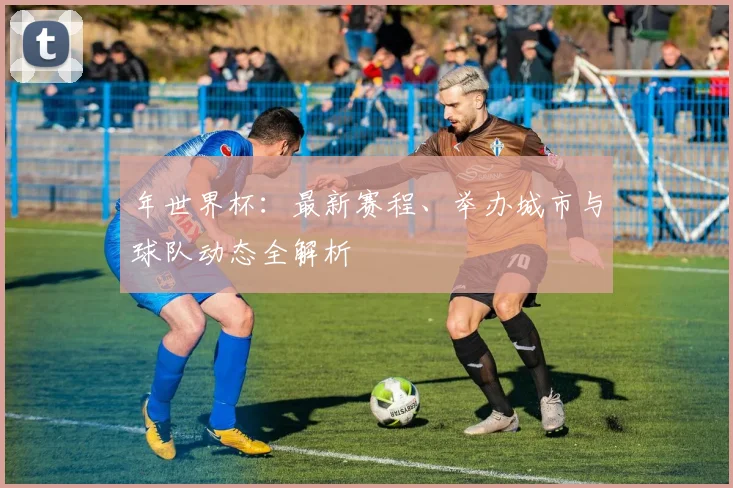年世界杯：最新赛程、举办城市与球队动态全解析