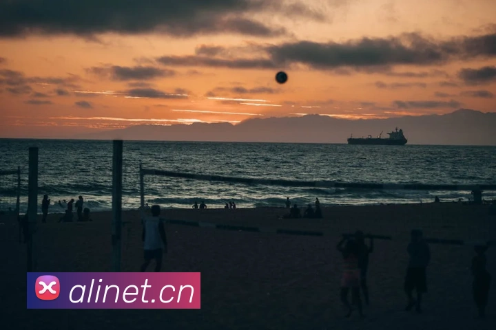 App Interface Preview